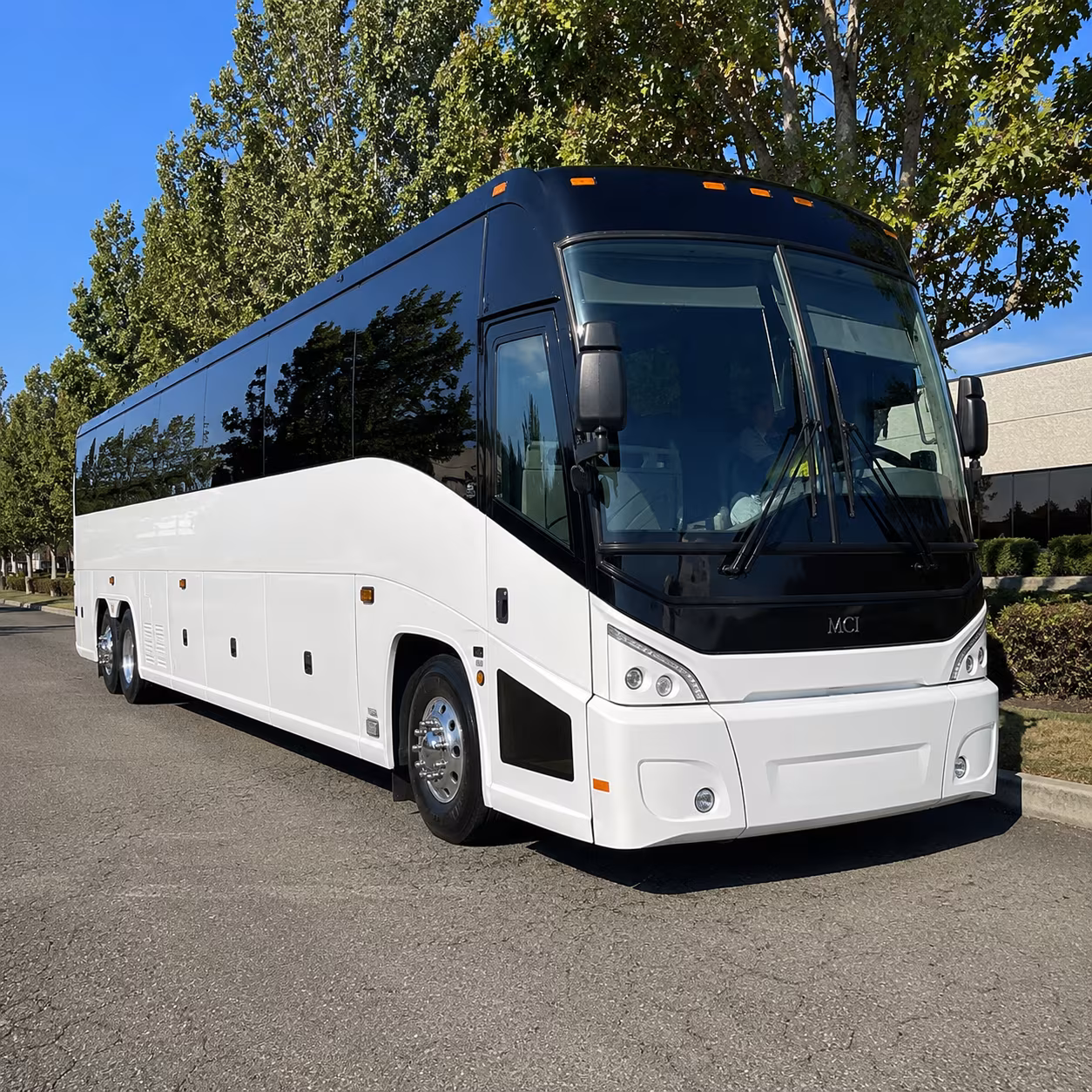 toledo 50 passenger charter bus