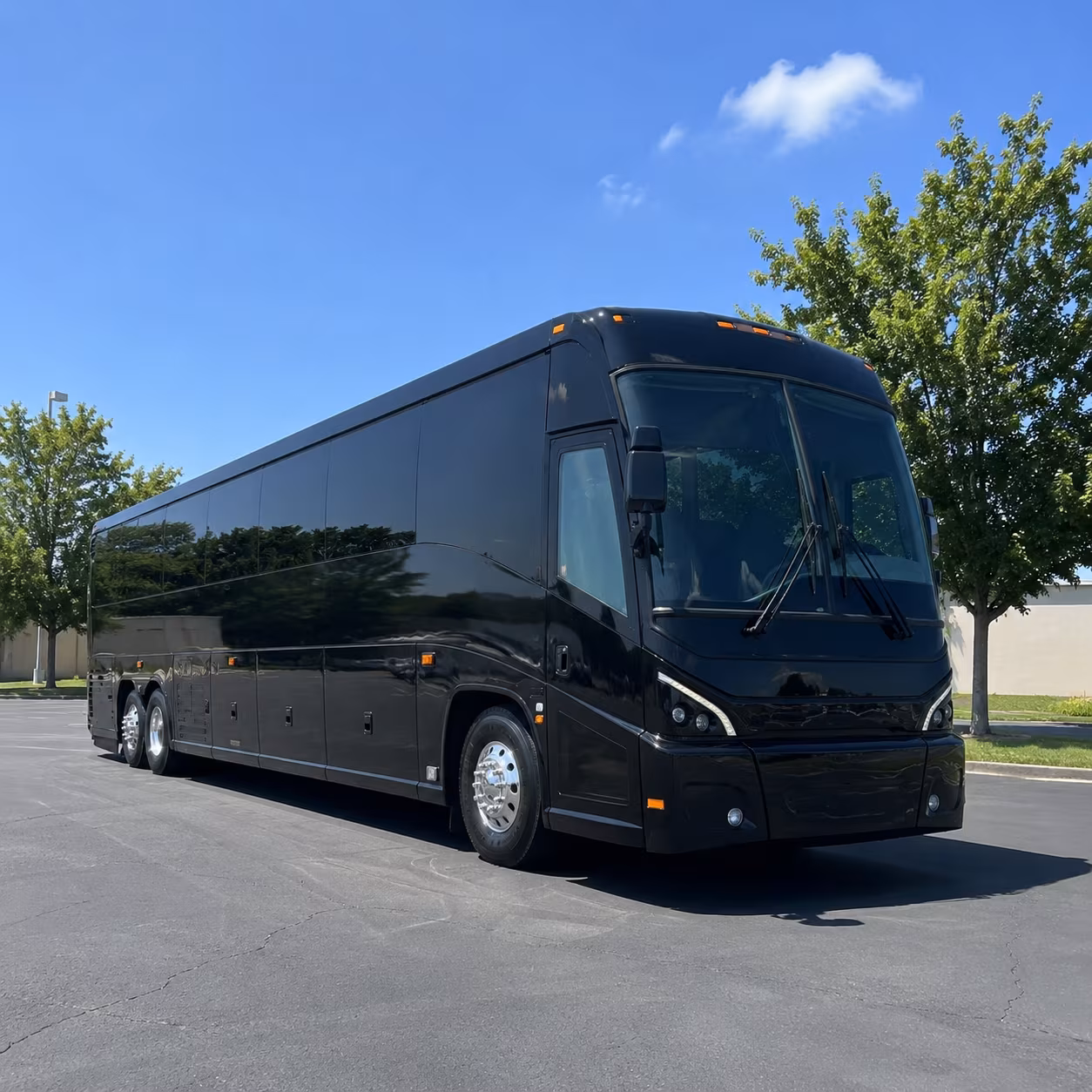 toledo 56 passenger charter bus